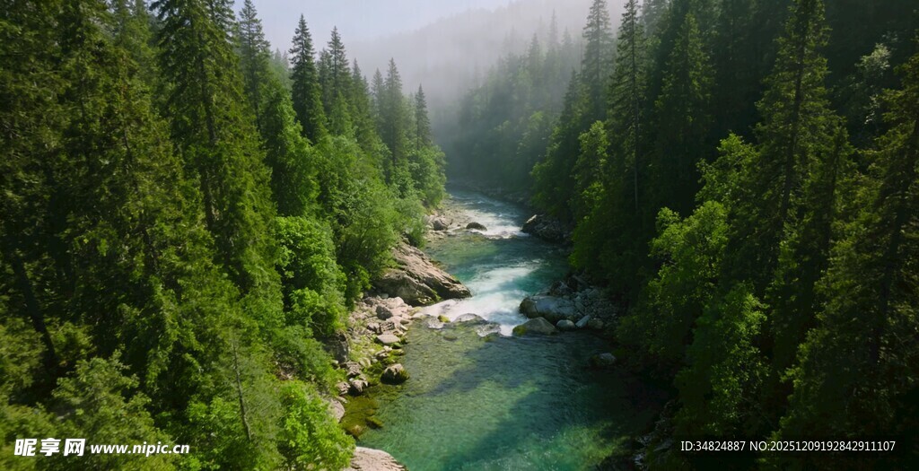 山林间的清幽溪流景色