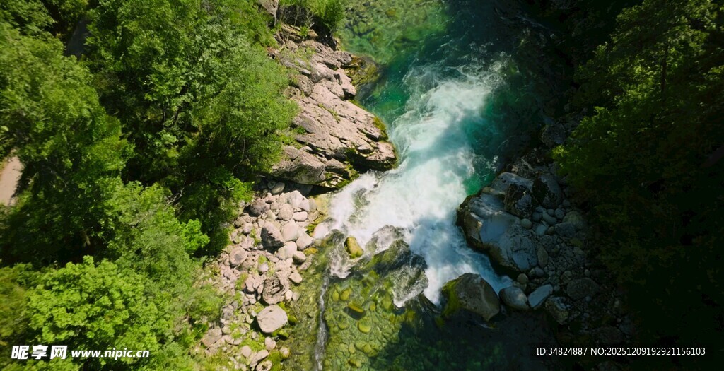 山间溪流穿林而过