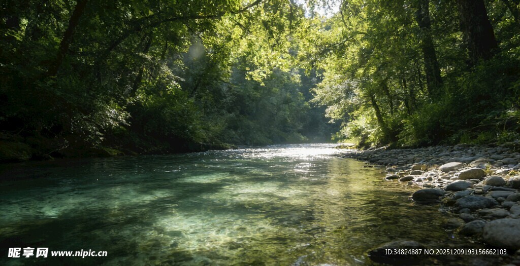 清幽河谷阳光洒落溪流