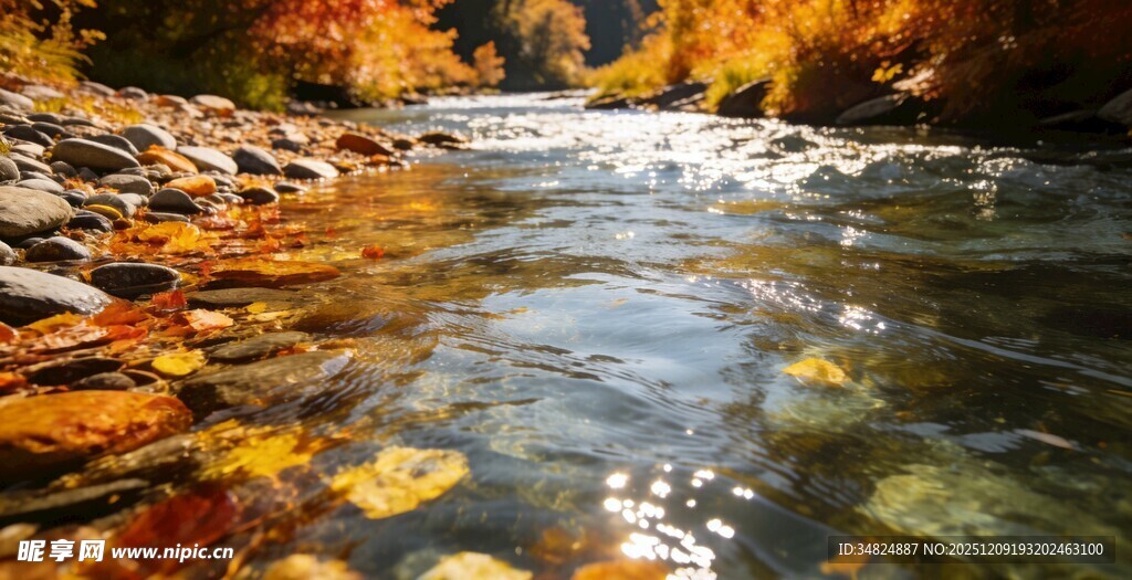 秋日溪流边的斑斓景致
