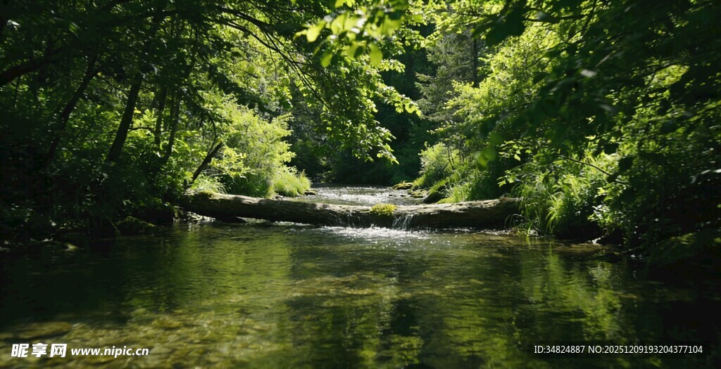 林间溪流绿意盎然的景致