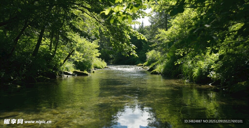 林间溪流绿意盎然的景致