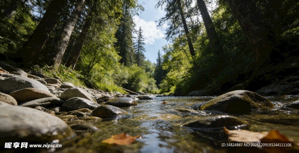 山间溪流自然静谧之景