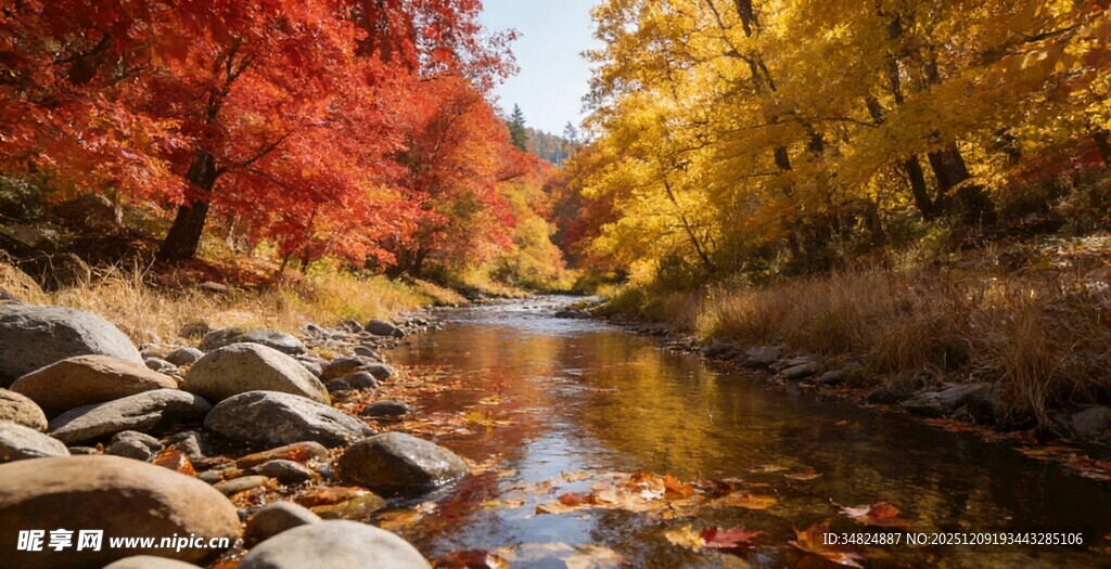 秋日溪边美景