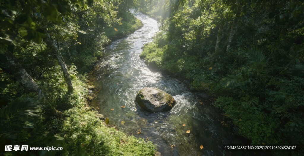 林间溪流阳光洒落绿意浓