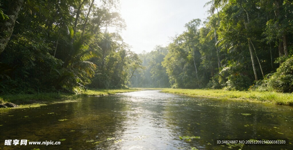 林间河道阳光洒落美景