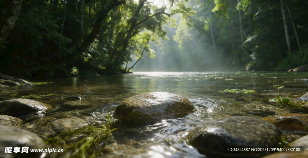 阳光洒落的静谧林间溪流