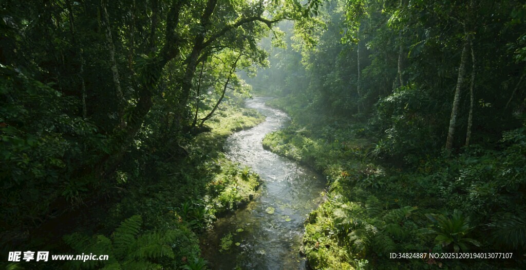 林间晨光洒向蜿蜒小路