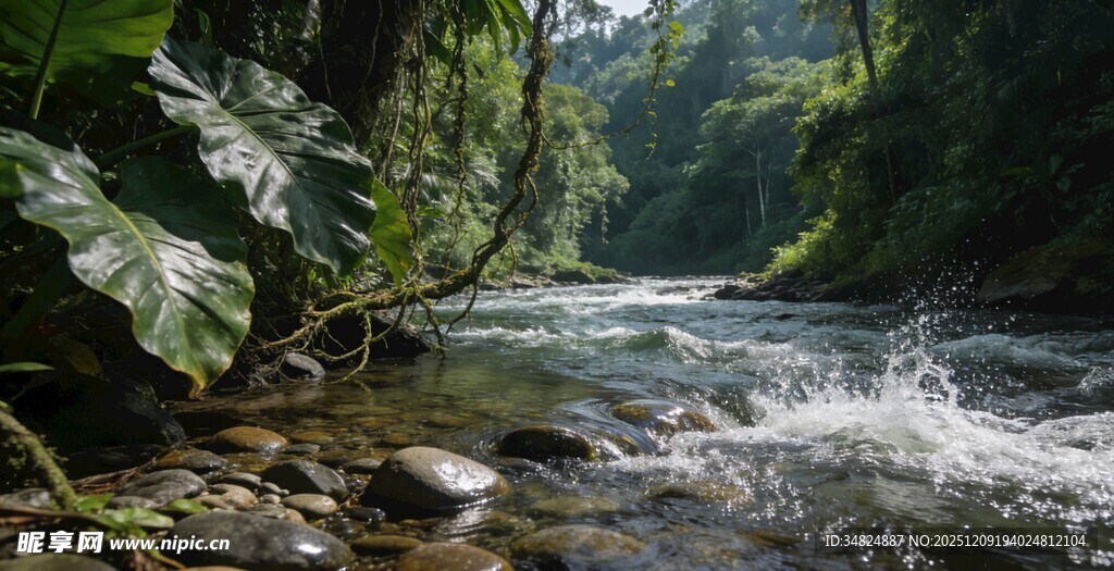 山间溪流绿意盎然的自然景