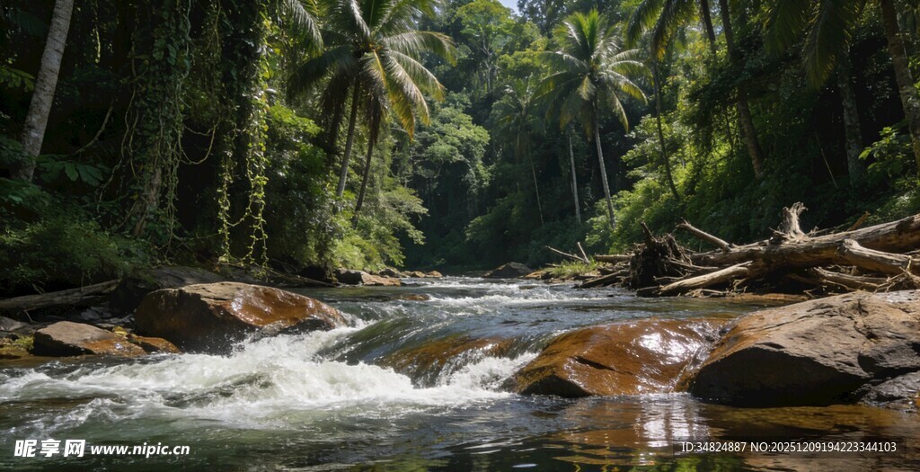 森林中的湍急溪流
