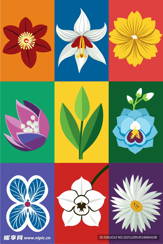 多彩花卉图案集合