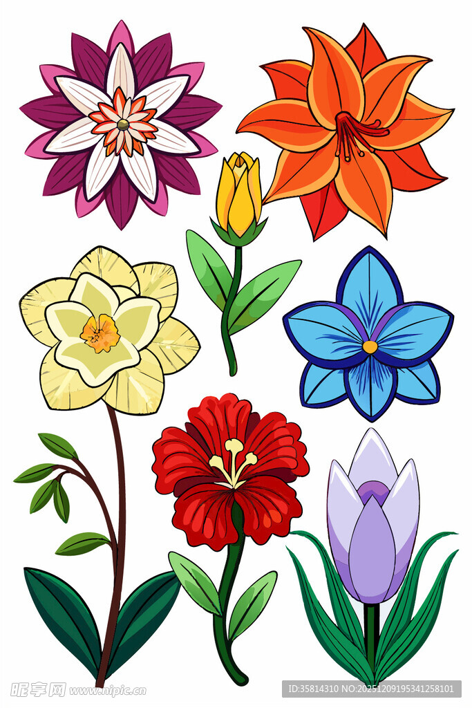 多彩花卉插画集合