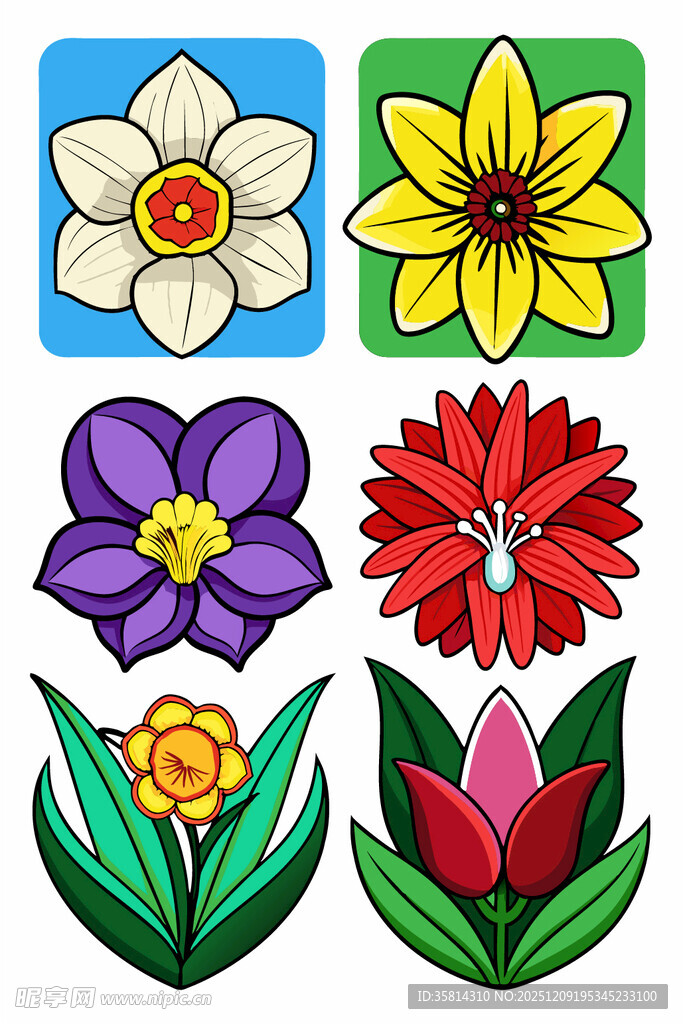 多彩手绘花卉图案集合