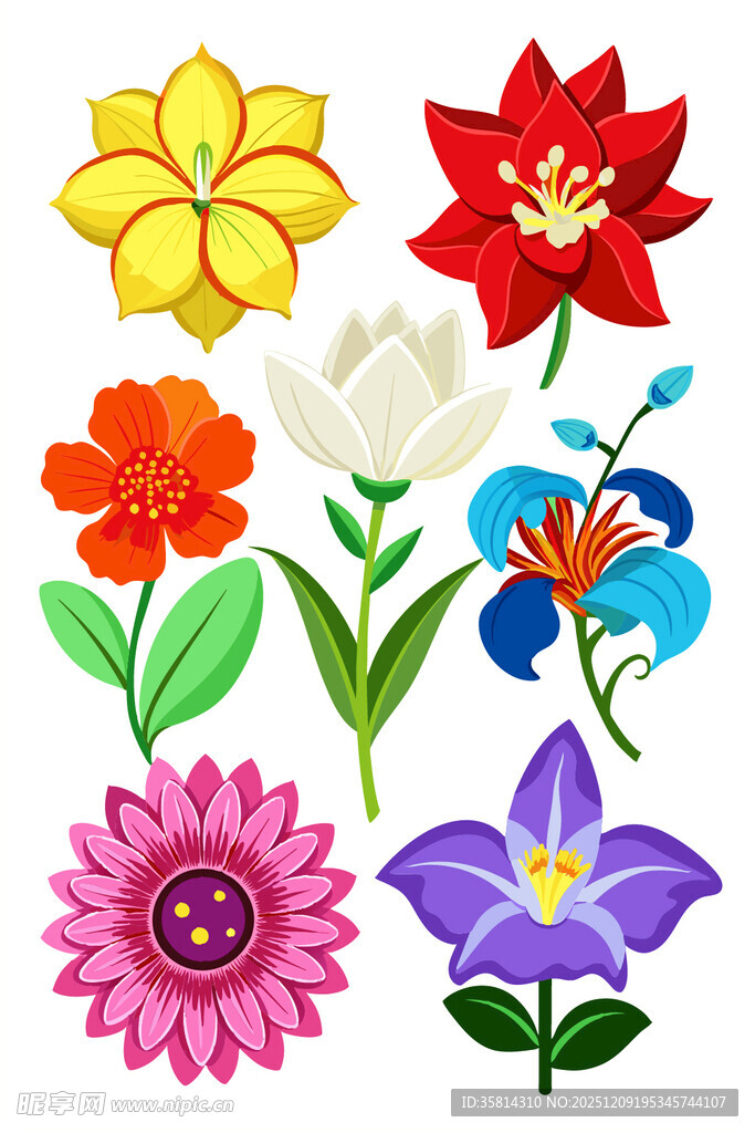 多彩手绘花卉图案集合
