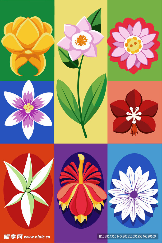 多彩花卉图案集合