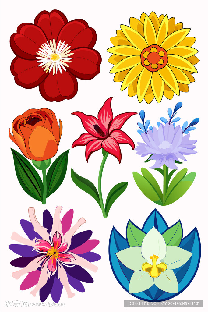 多彩花卉图案集合