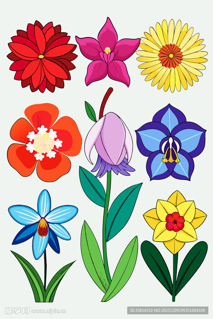 多彩手绘花卉图案