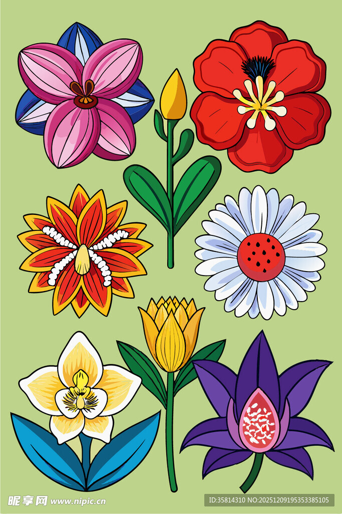 多彩手绘花卉集合