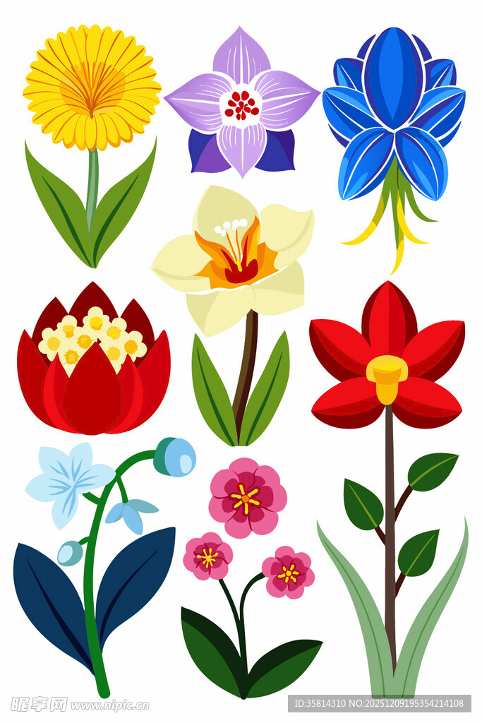 多彩花卉插画集合