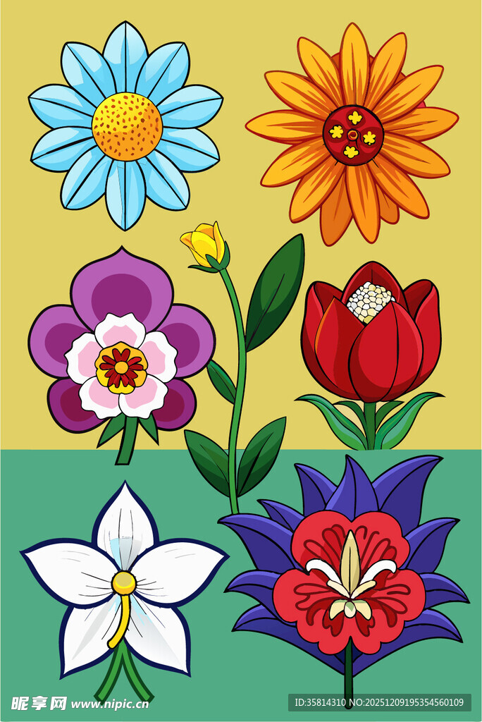 多彩花卉插画
