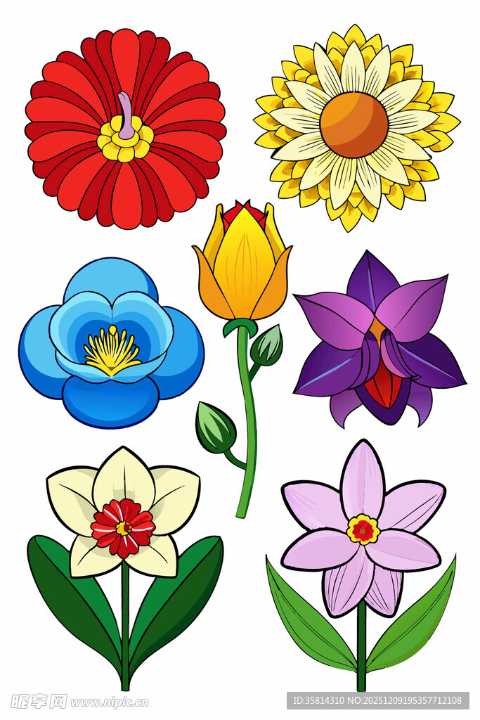 多彩手绘花卉集合