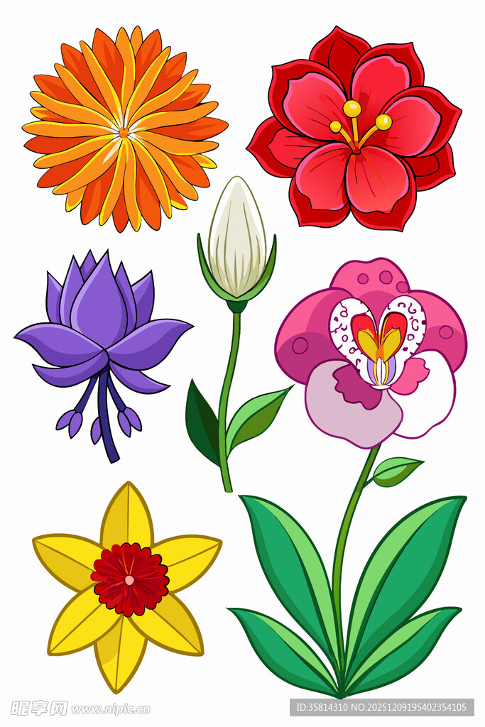 多彩花卉图案集合