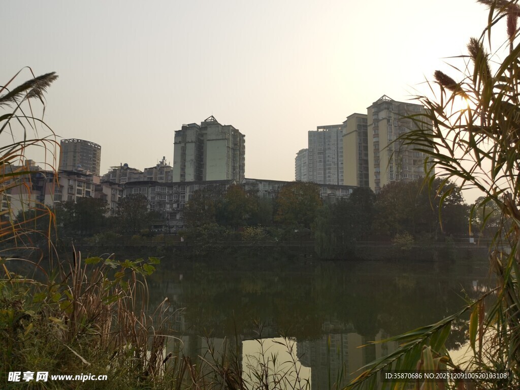 城市河畔风景