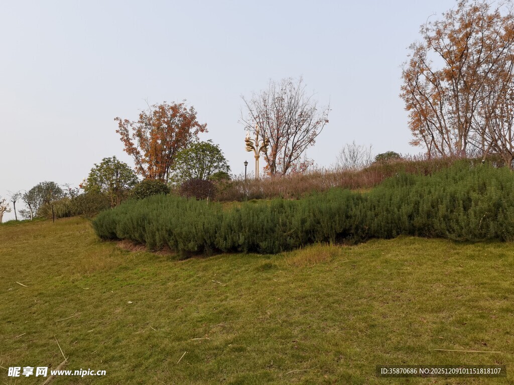 秋日草地旁的绿植景观
