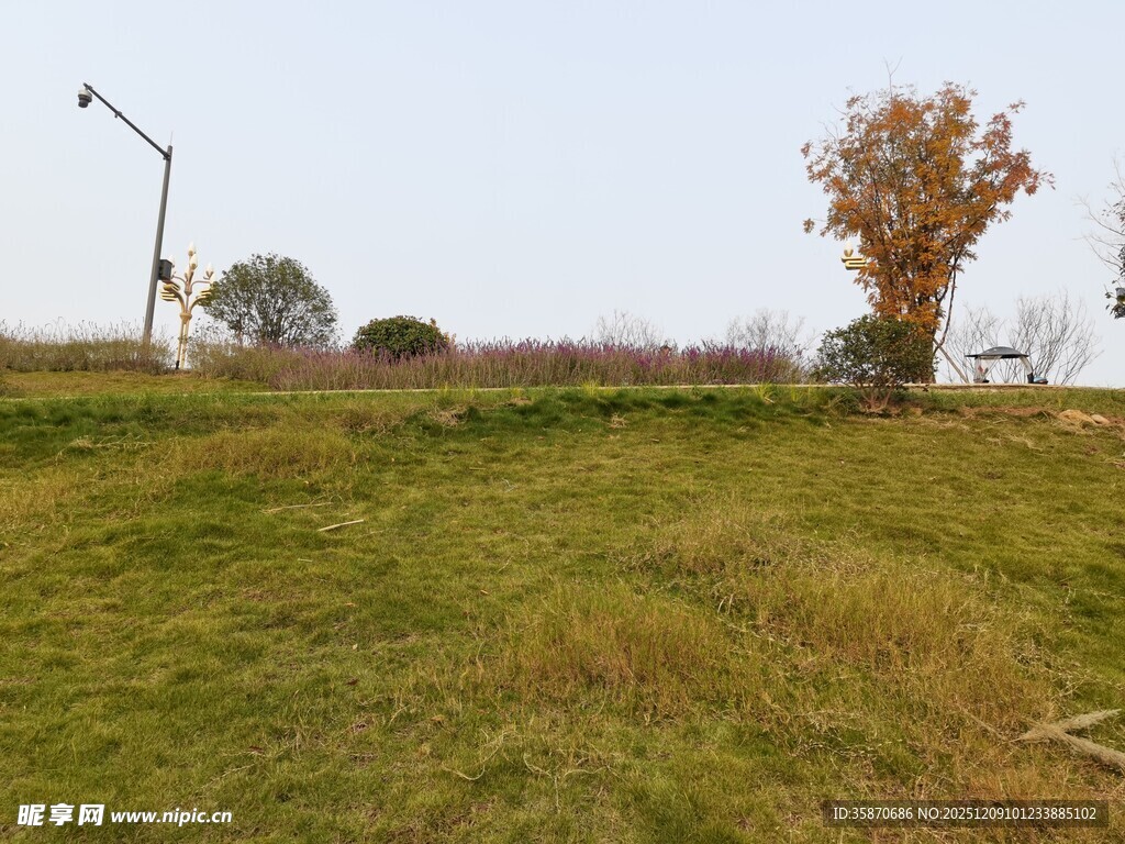 秋日旷野草地风景