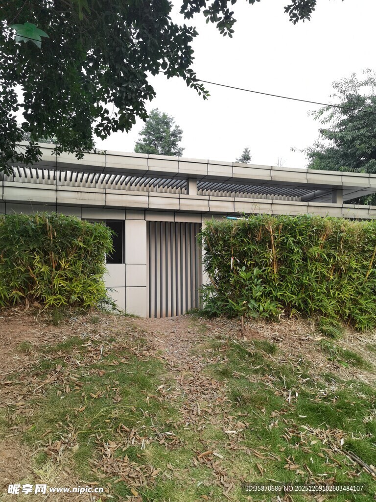 老旧小屋旁的绿植小径