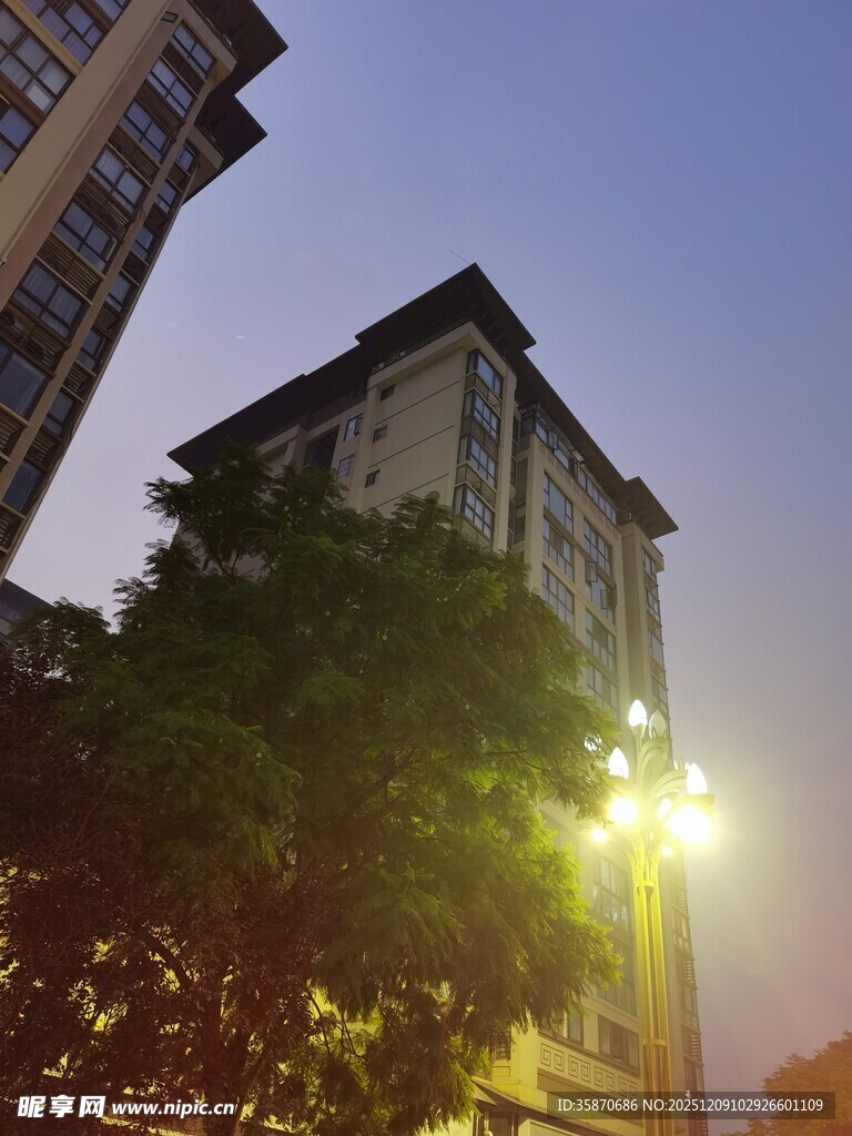 黄昏时的楼房与街边绿树