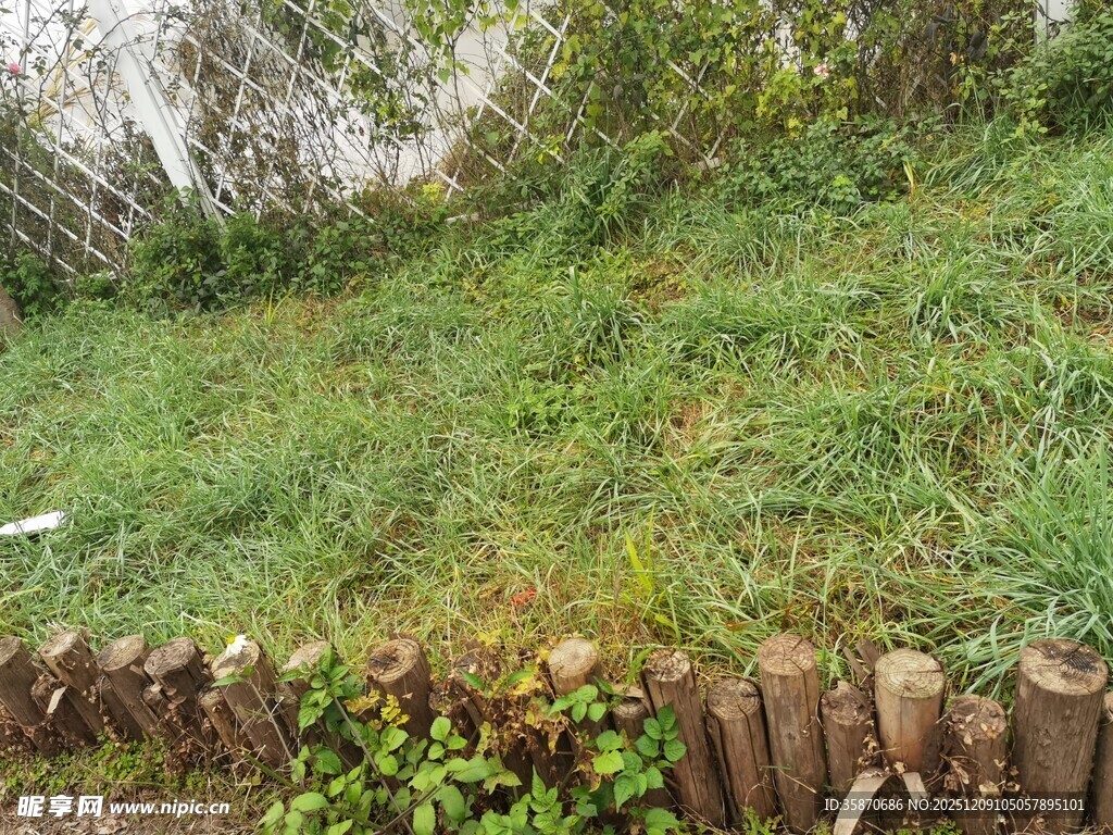 木栏围起的翠绿草地
