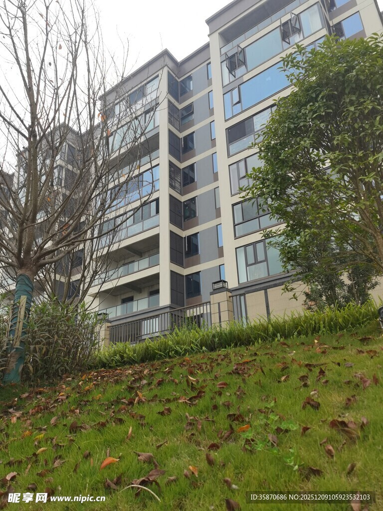 多层住宅旁的绿植景观