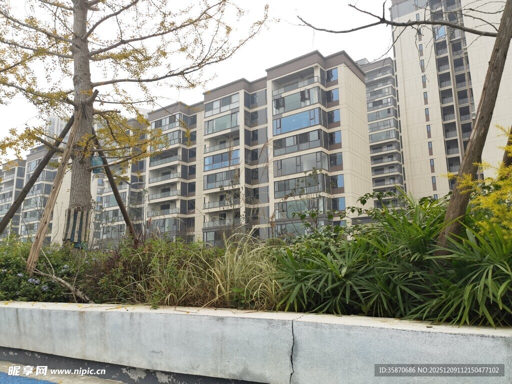 现代小区景观与高层住宅