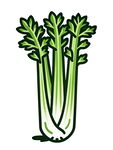 卡通芹菜插画