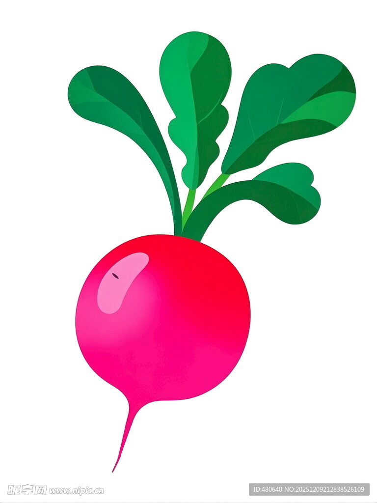可爱粉色萝卜插画
