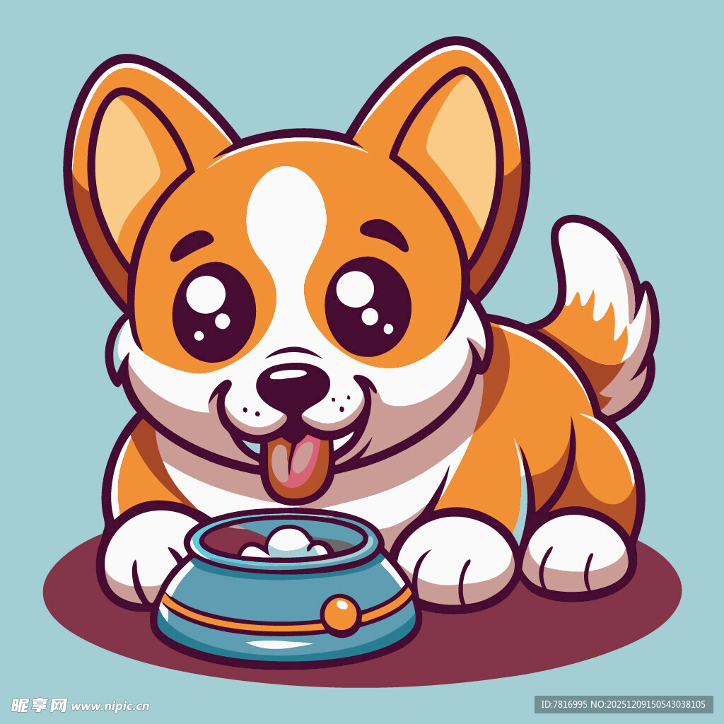 可爱柯基犬进食时刻