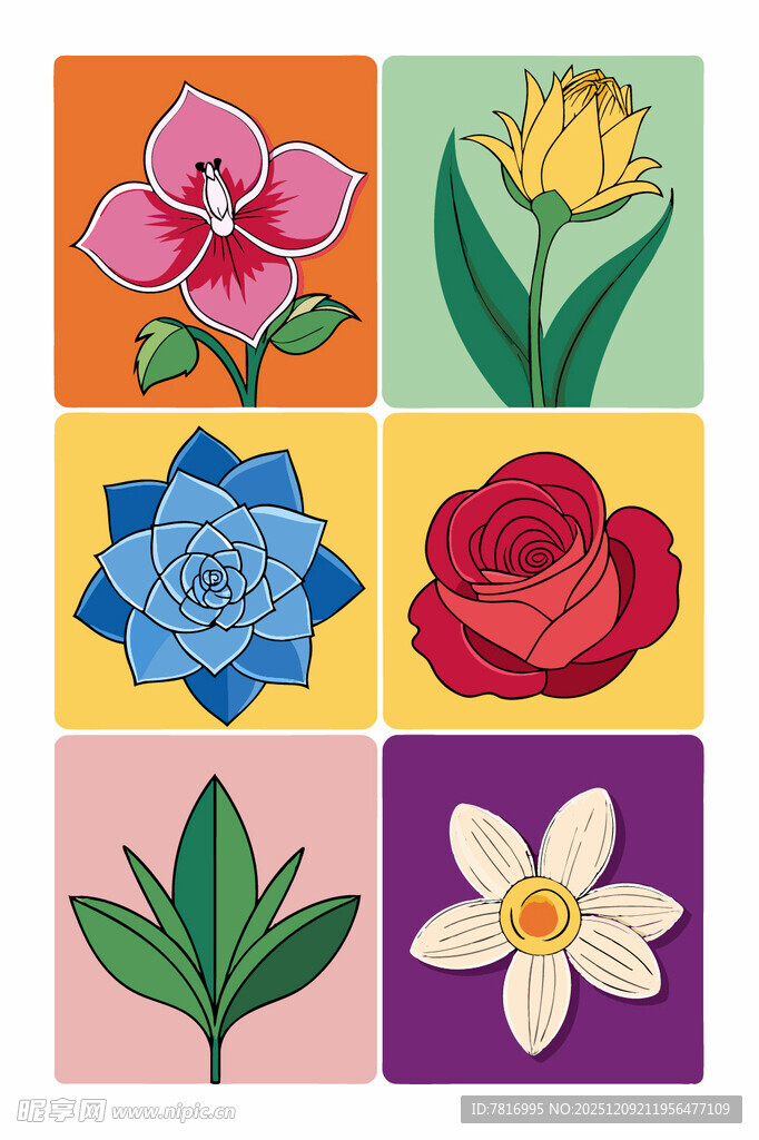 多彩花卉图案集合