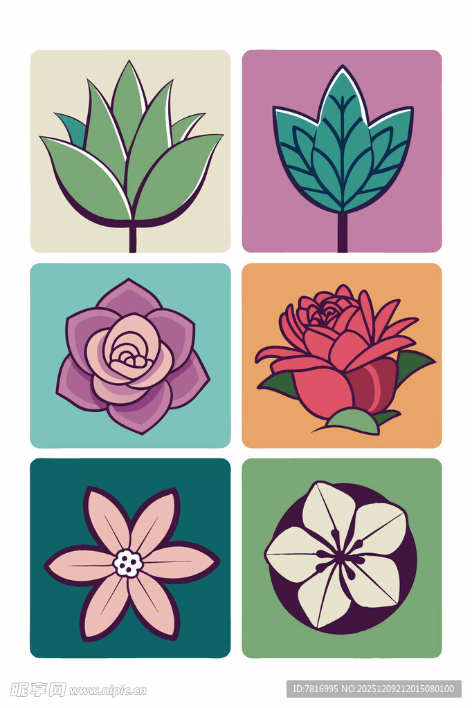 多彩花卉图案集合