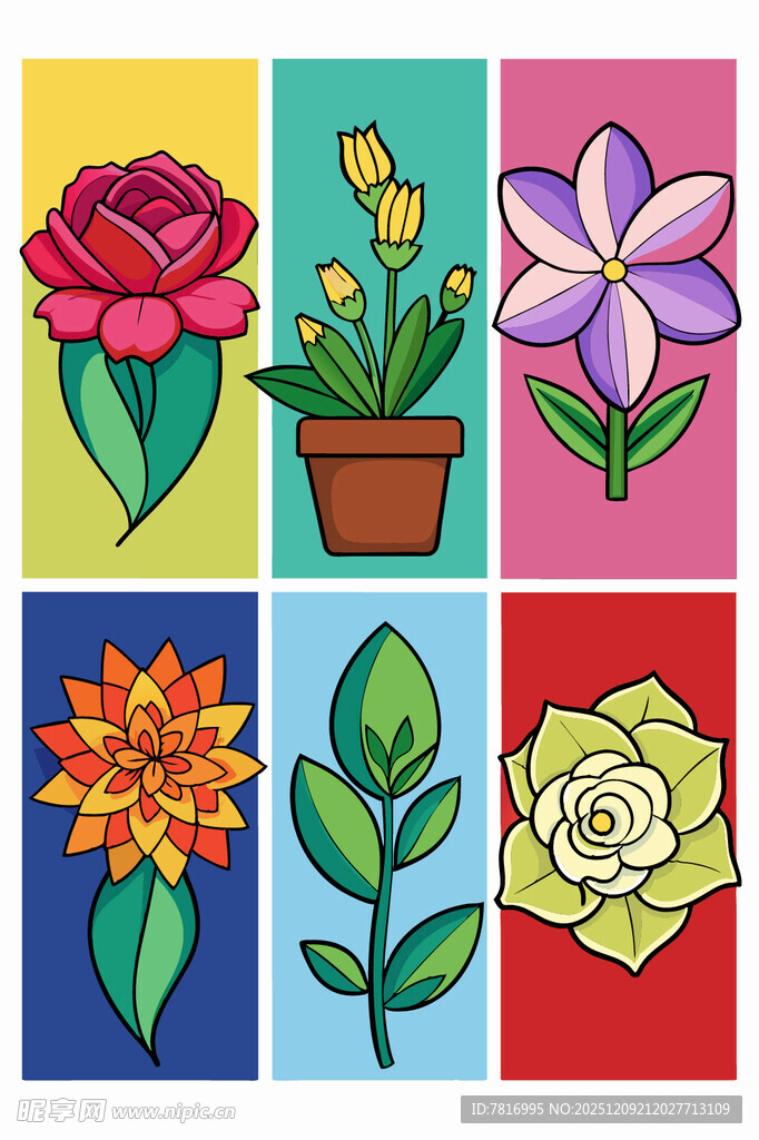 多彩花卉插画集合