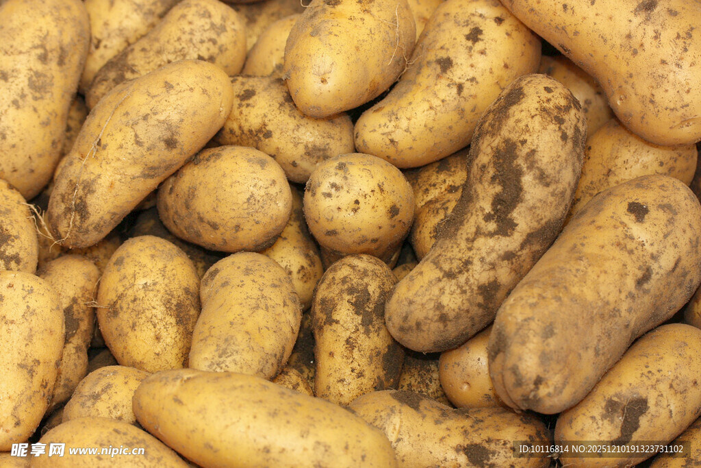 新鲜土豆