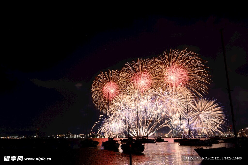 夜空中绚烂的烟花绽放