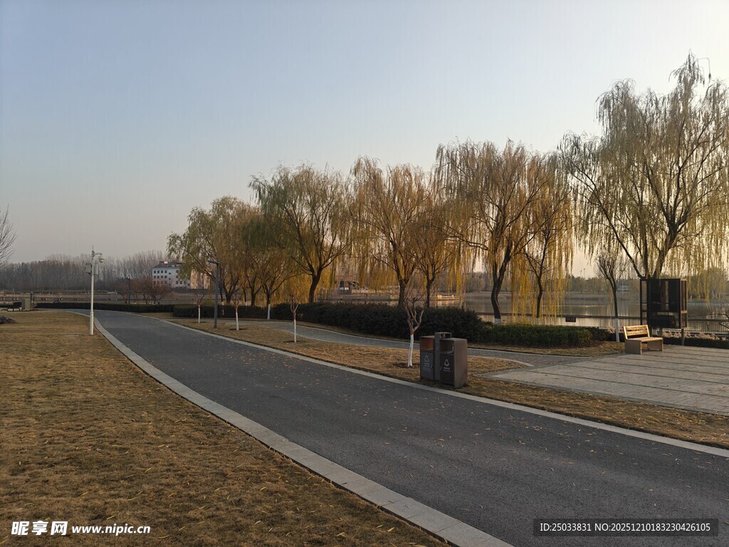 冬日城郊静谧的林荫道路