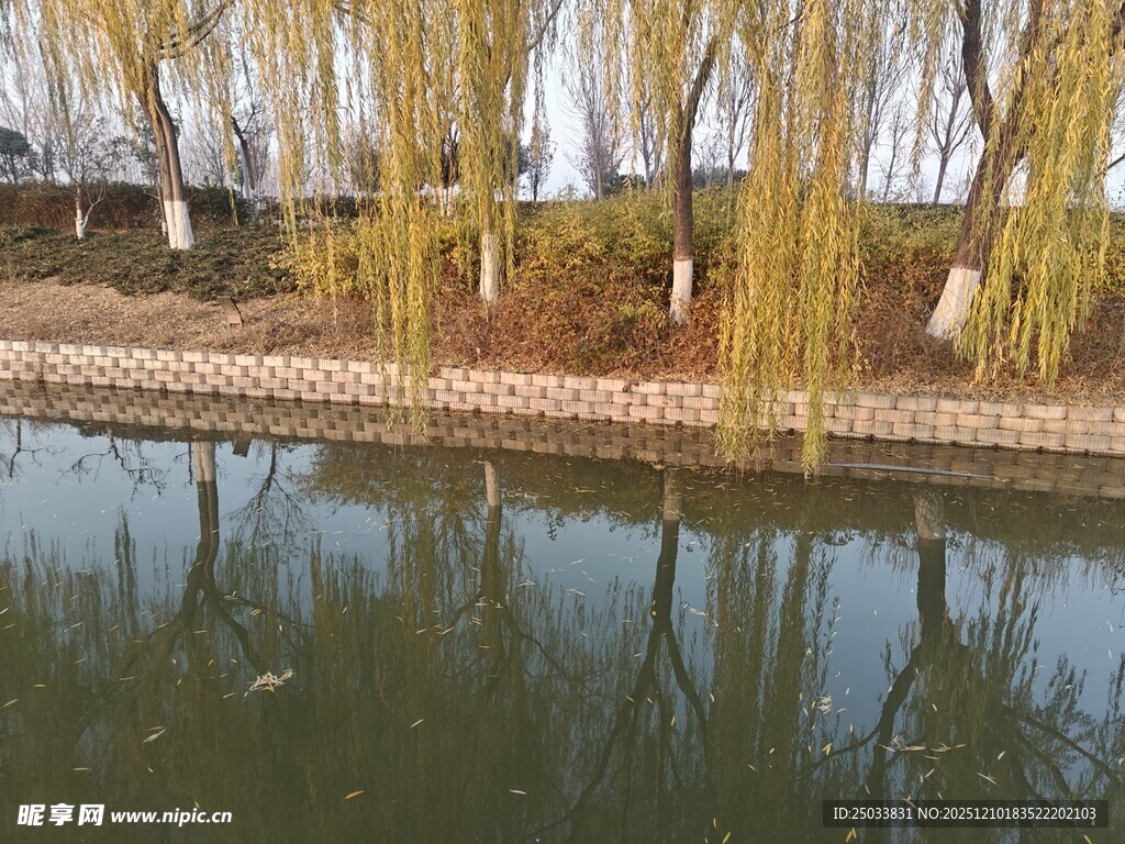 河畔垂柳倒映于平静水面