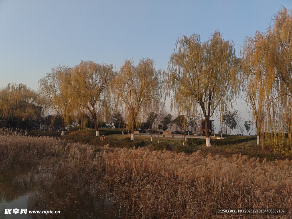 秋日河畔树林美景