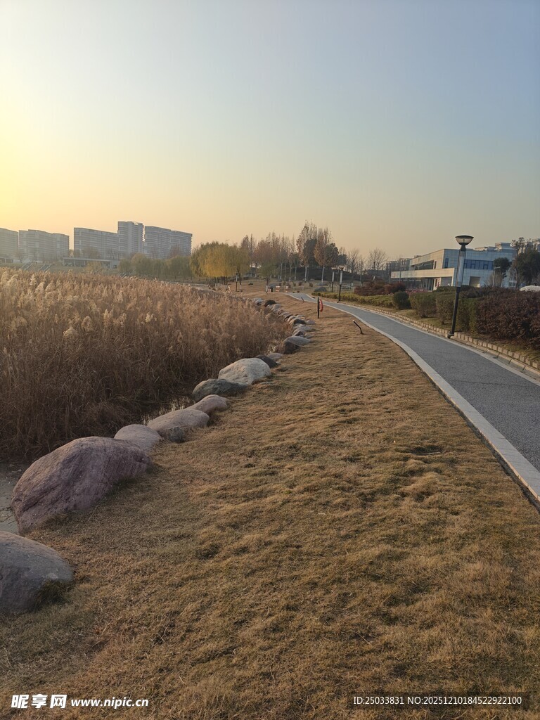 夕阳下的户外小径风景