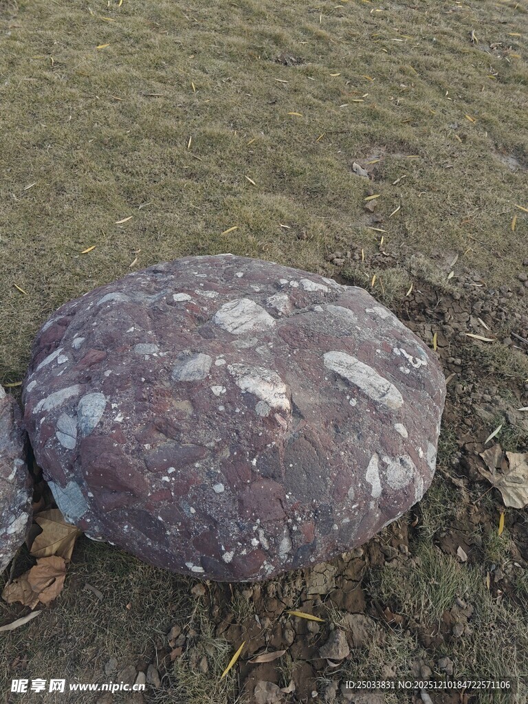 野外紫色纹理独特石头