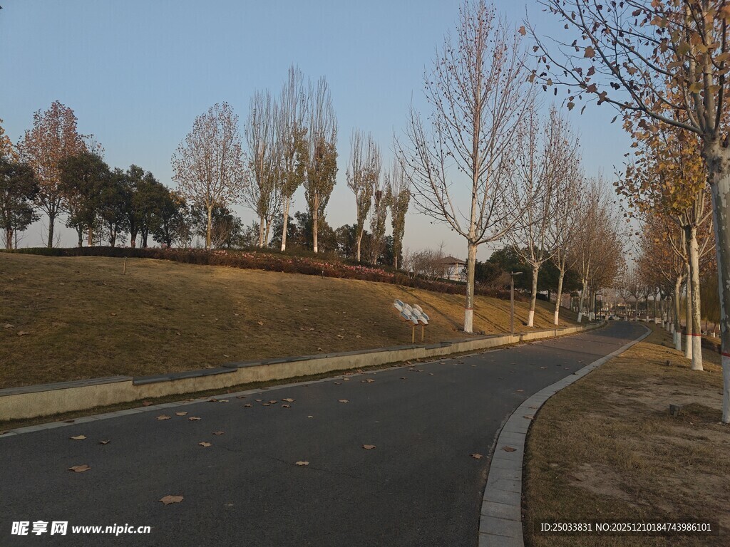 冬日城郊蜿蜒静谧小路