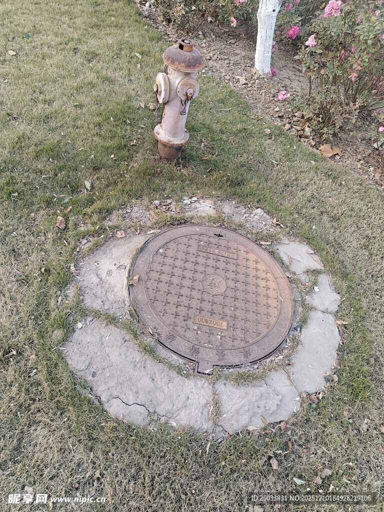 草地上的金属井盖