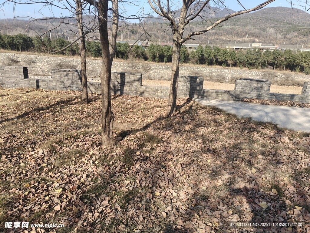 郊外空旷墓地场景